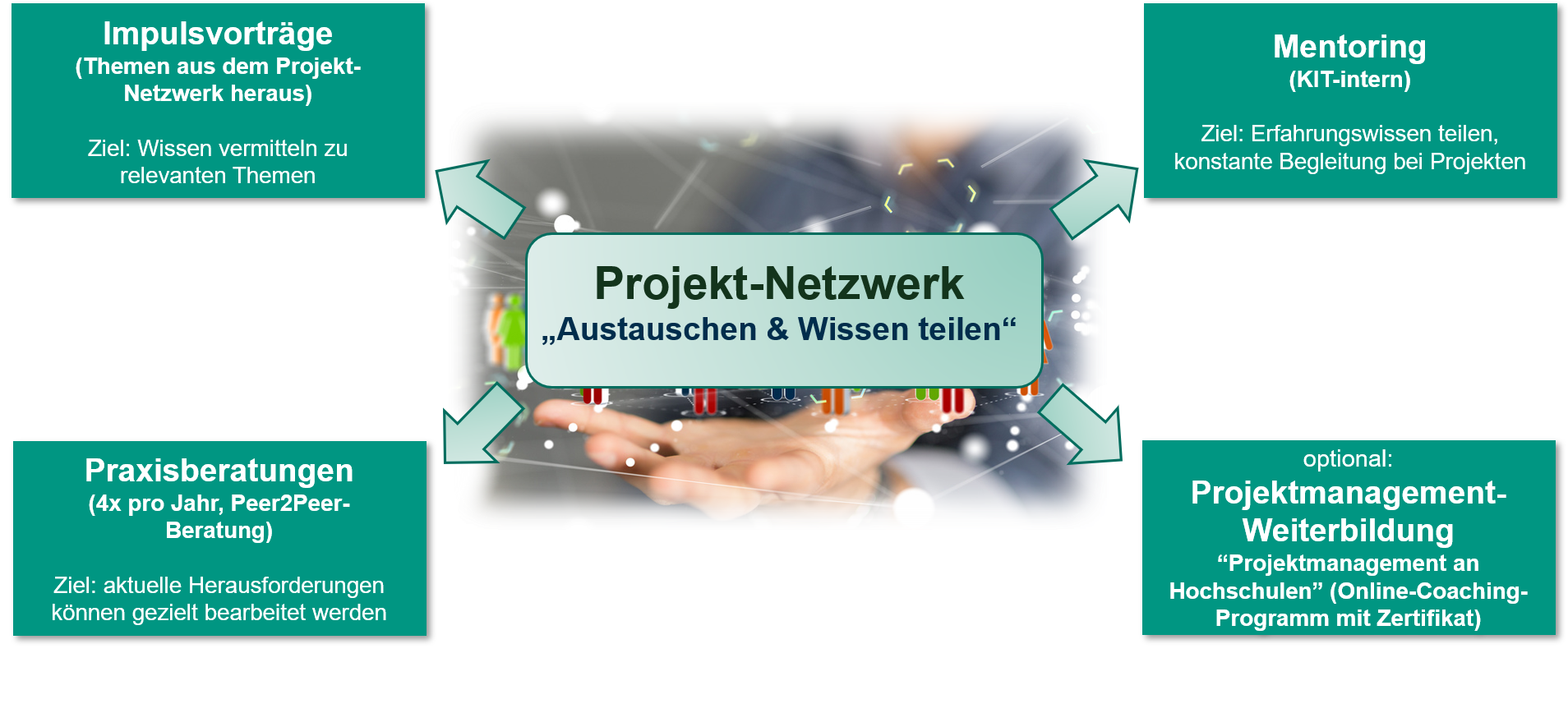 Projekt-Netzwerkdiagramm mit Fokus auf Wissenstransfer und Mentoring.